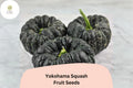 25+ Yokohama Squash Seeds | Rare Japanese Heirloom Winter Squash | Sweet, Rich Orange Flesh  Unique Ribbed Shape