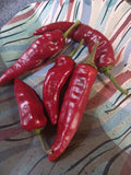 Paprika Drying Pepper Hungarian Heirloom (30 Seeds)
