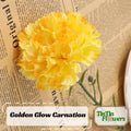 30 Seeds| Golden Glow Carnations - Dianthus Seeds - Container - Balcony Flowers -Cold  Drought Resistant -Hardy, Colorful Garden#ca18