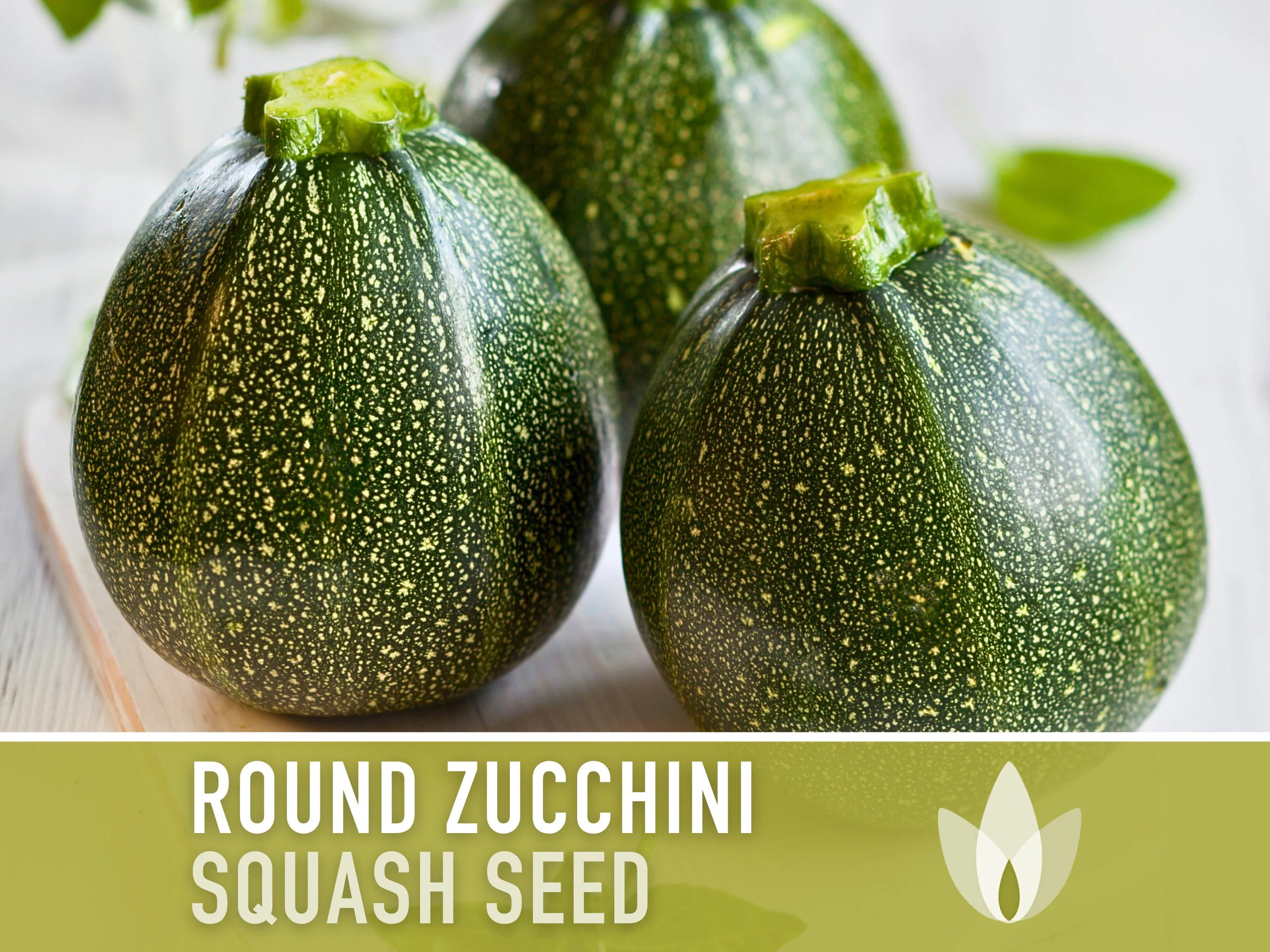 Round Zucchini Summer Squash Heirloom Seeds - Perfect for stuffing, Container Garden, Compact Squash, Open Pollinated, Non-GMO