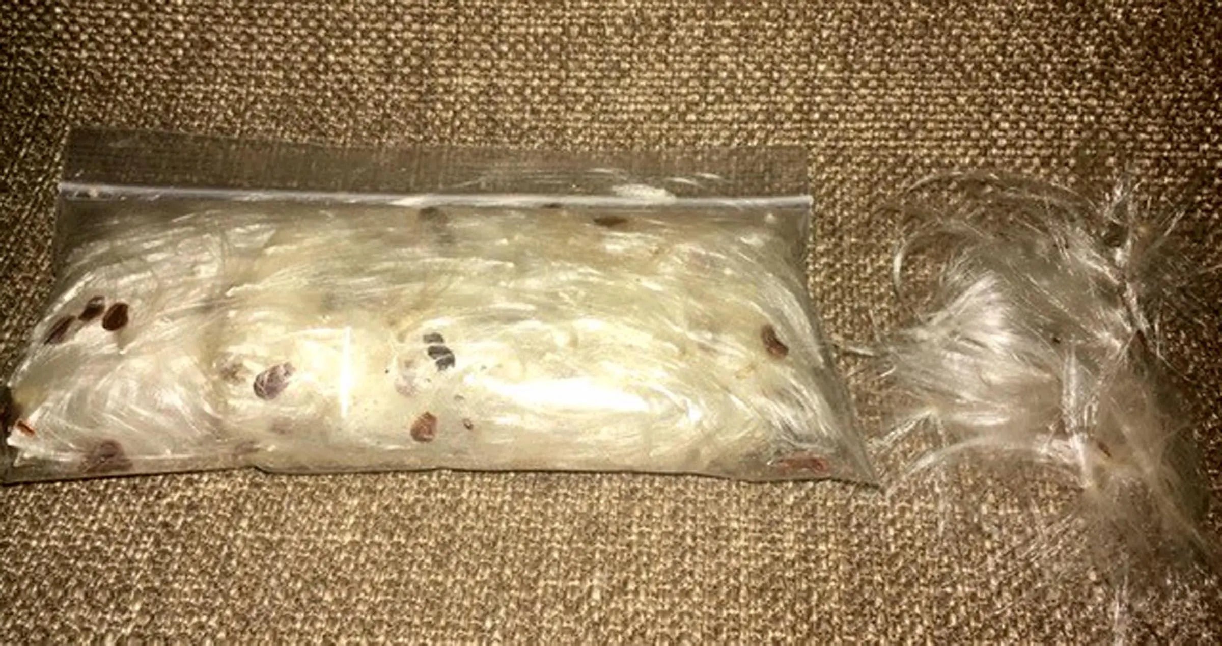 Milkweed Seed Floss Silk Fiber Fluff Hunter Deer Moose Elk Hunting Wind Direction Indicator 4.7 x 5.1 Bag Crafts Arts Natural Stuffing DIY